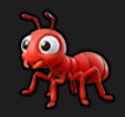 Ant