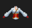 Captain Pirate Shirt