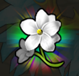 Jasmine Flower A