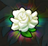 Jasmine Flower B